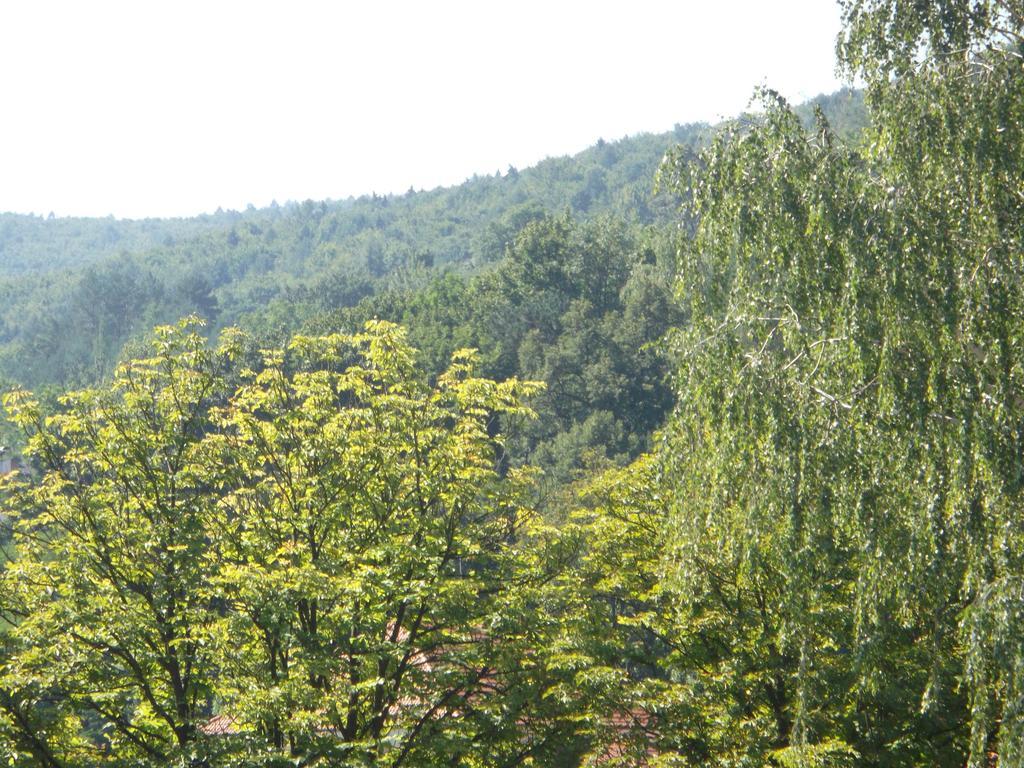 Pikk Trencianske Teplice Apartment Room photo