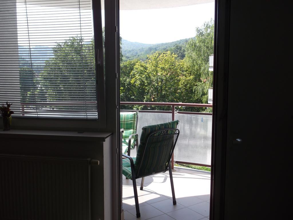 Pikk Trencianske Teplice Apartment Room photo